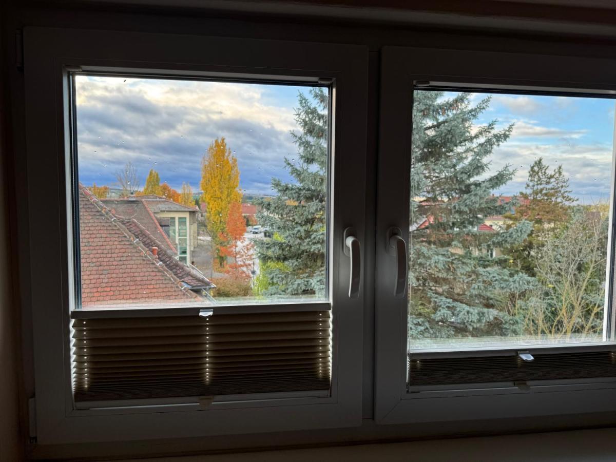 205 Qm "Traumtor" Mit Sauna, Whirlpool, Kamin Und 3 Terrassen Mit Blick In Die Boehmisch Saechsische Schweiz Dresden Bagian luar foto